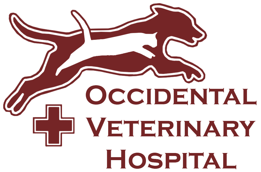Occidental Veterinary Hospital Logo