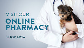 Online Pharmacy Icon